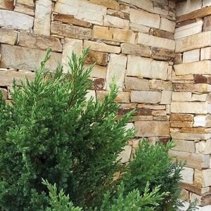Ardoise Rhodos Filleti (Palette approx. 10 m²)| Pierre décorative - Carreaux verticaux, Extérieur-Intérieur