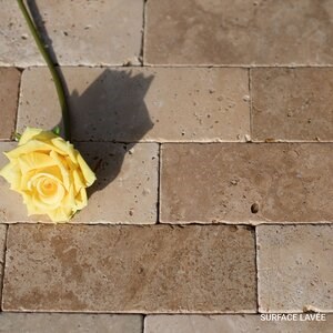 Travertin classique en coupe transversale, 7,5 x 20,3 x 1 cm