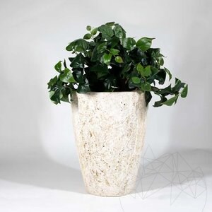 Romano Pot à fleurs en travertin Classic Riven, 40 x 30 x 30 cm