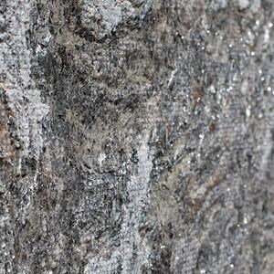 Dalle Kosmus Silver Microdot Design 2CM