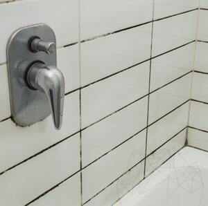 LTP Profesional Mouldex, Détergent pour spores de moisissures (nettoie et entretient), 500 ml