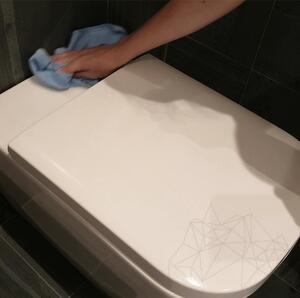 LTP Profesional Stone Wash, Détergent pour pierres naturelles de cuisine et de salle de bains (nettoie et entretient), 500 ml
