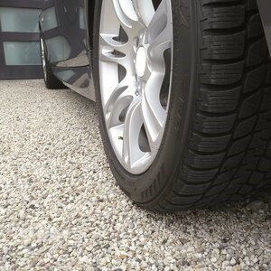 Système d'aménagement paysager pour la stabilisation du gravier, blanc, 1176 x 764 x 32 mm