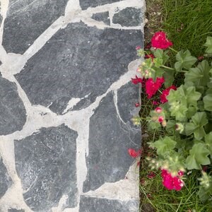 Laguna Green Polygonal Slate - Pierre naturelle pour façades intérieures/extérieures, pavages et allées