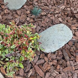 Kavala Ardoise Bord Ciselé Pas de jardin japonais