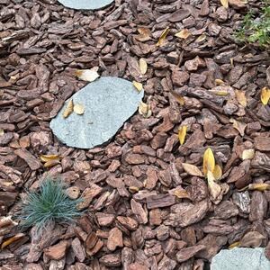 Kavala Ardoise Bord Ciselé Pas de jardin japonais