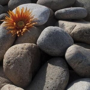 Galets  Natura 1-2 cm Sac 20 kg