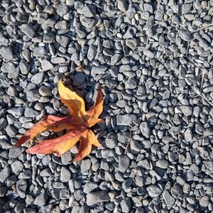 Galet gris foncé, 0-1 cm, KG