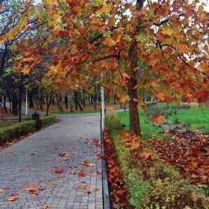 Piatra Cubica Granit Gri Sare si Piper Natur 5 x 5 x 5cm