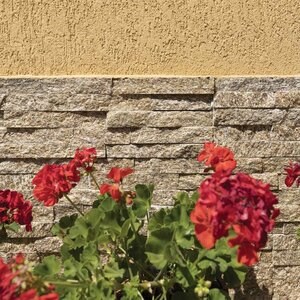 Panneau de revêtement mural en quartzite Lemone 15 x 60 x 1-2 cm