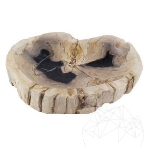 Scrumiera Fossil (Lemn Pietrificat)