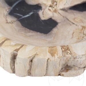 Scrumiera Fossil (Lemn Pietrificat)