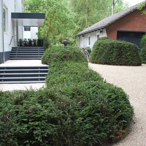 Système d'aménagement paysager pour la stabilisation du gravier, blanc, 1176 x 764 x 32 mm