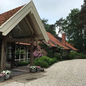 Système d'aménagement paysager pour la stabilisation du gravier, blanc, 1176 x 764 x 32 mm