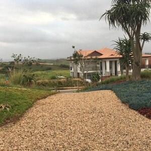 Système d'aménagement paysager pour la stabilisation du gravier, blanc, 1176 x 764 x 32 mm