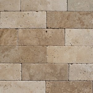 Travertin classique en coupe transversale, 7,5 x 20,3 x 1 cm