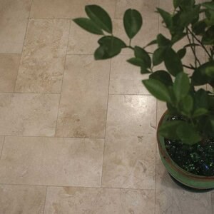 Travertin poli croisé Classic PREMIUM, 40.6 x 20.3 x 1.2 cm