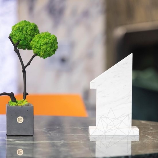 1ère place Trophée en marbre