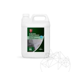 LTP Profesional Black Spot & Algae Remover, 5 L