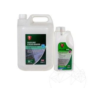 CLEANPAV Kit LTP - élimine les mousses et les moisissures sur les dallages extérieurs