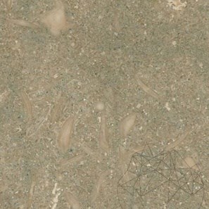 Oliva, Pierre calcaire adoucie, 60 x 30 x 1.2 cm