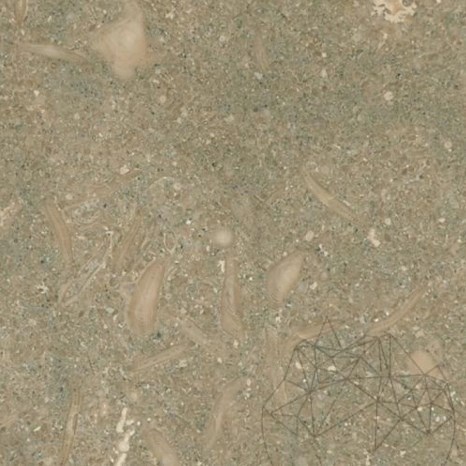 Oliva, Pierre calcaire adoucie, 60 x 30 x 1.2 cm