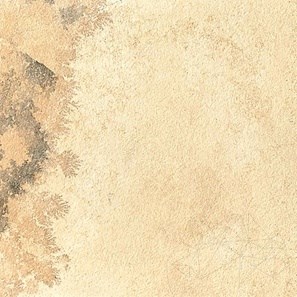 Pierre frittée Hardscape Monviso Fossil, 90 X 60 X 2 cm, R11 - Antidérapant pour usage extérieur