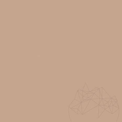 Joint de carrelage - Multifill-Smalto, Largeur de joint 1-8 mm, 21 CARAMEL, 2 kg