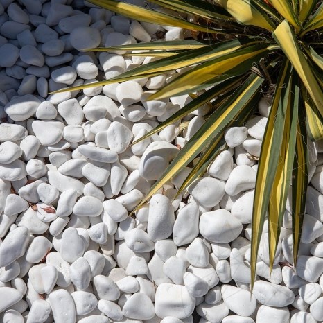 Galets de Marbre Blanc de Thassos, 1-3 cm, KG