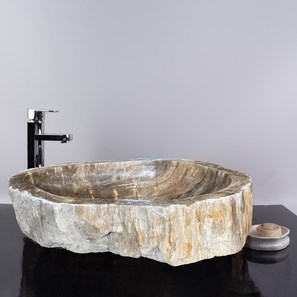 Lavabo de salle de bains, Bois pétrifié