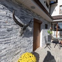 Panneau de revêtement mural en marbre platine 15 x 60 cm