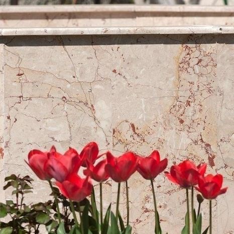 Carrelage sol et mur Marbre Rosalia Beige Poli, 60 x 30 x 2 cm