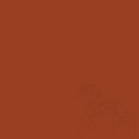 Weber Color Perfect Egypt, 2 Kg, Coulis flexible pour murs et sols