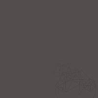 Weber Color Perfect Anthracite, 2 Kg, Coulis flexible pour murs et sols