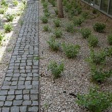 Piatra Cubica Granit Gri Sare si Piper Natur 5 x 5 x 5cm