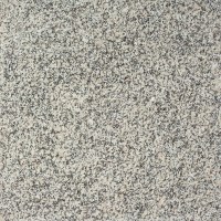 Carrelage sol et mur Granit Leopard White Poli, 60 x 60 x 1.5 cm 