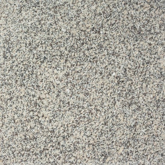 Carrelage sol et mur Granit Leopard White Poli, 60 x 60 x 1.5 cm 