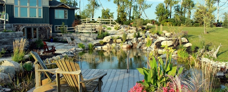 Guide pratique pour construire une piscine naturelle dans votre jardin