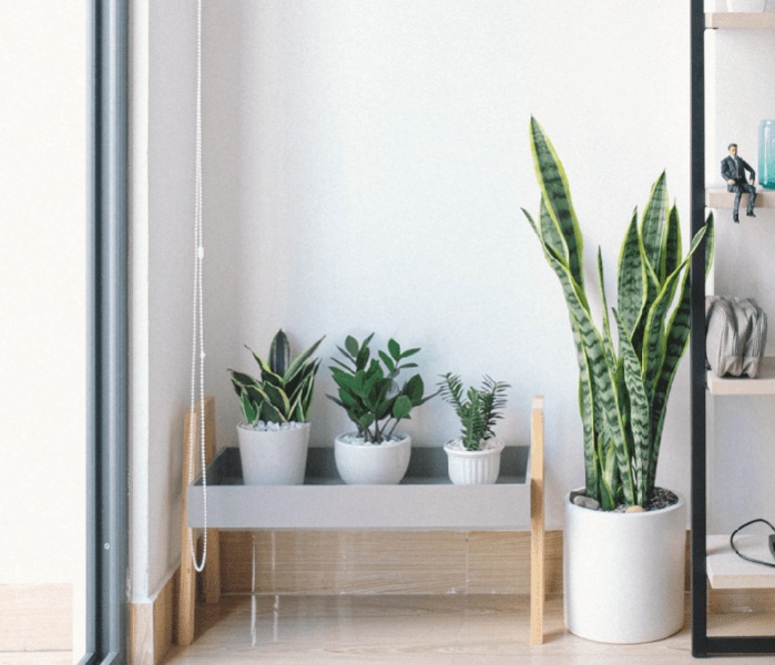 Tendances design 2022 : des idées pour votre projet de décoration