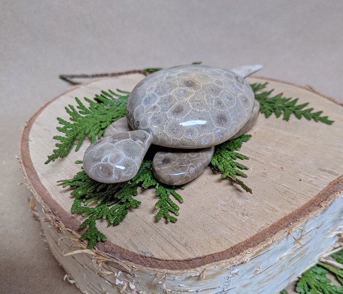 Petoskey Stone et un blasphème contre le passé