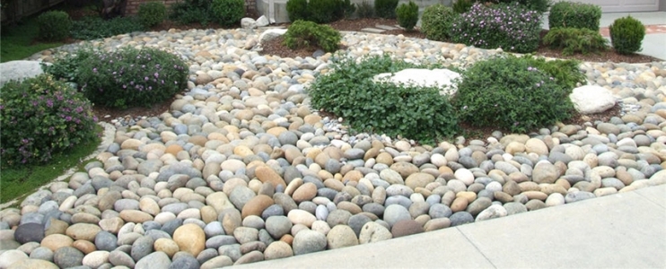 Conseils pour concevoir un beau jardin de rocaille