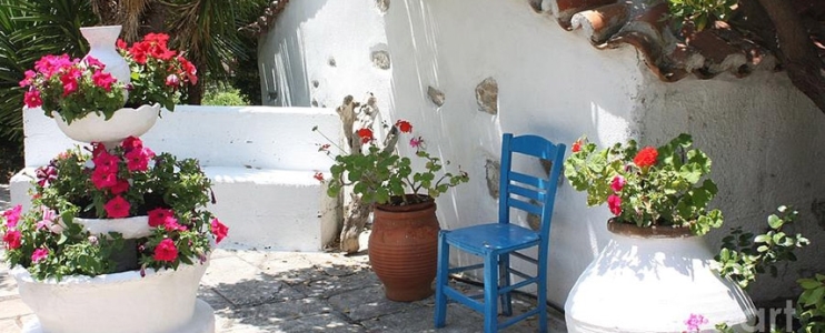 Les meilleurs conseils pour créer un jardin grec traditionnel