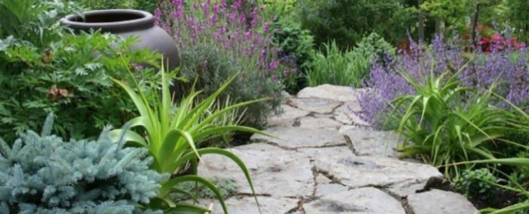 Aménagement paysager d'une allée en pierre pour un jardin magnifique