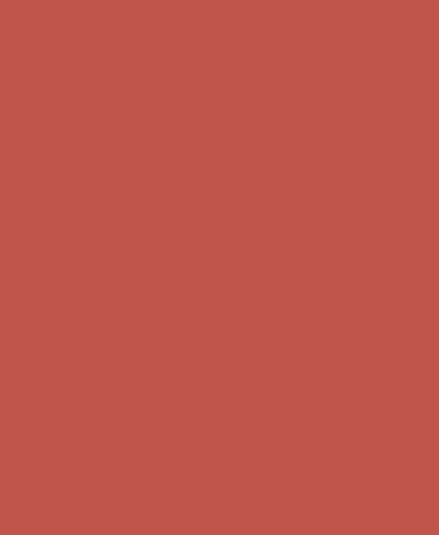 Weber G700 Wall primer G700 CE3, rouge, 5 kg