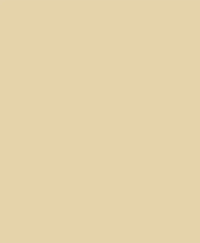 Weber Color Perfect Sesame, 2 Kg, Coulis flexible pour murs et sols