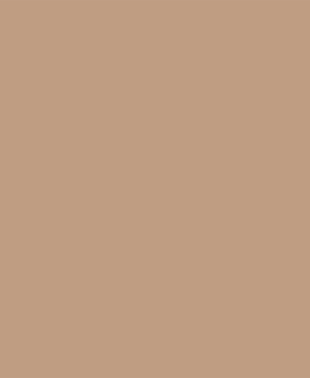 Weber Color Perfect Brick, 2 Kg, Coulis flexible pour murs et sols