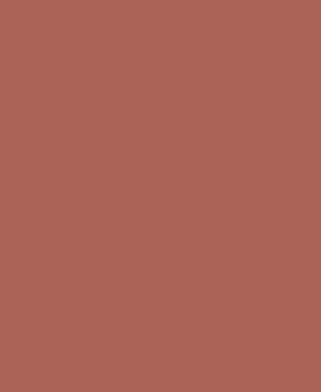 Weber Color Perfect Cacao, 2 Kg, Coulis flexible pour murs et sols