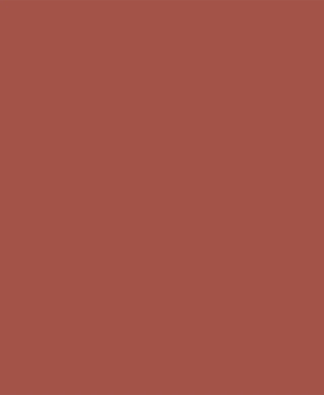 Weber Color Comfort Dark Brick, 2 Kg, Coulis flexible pour murs et sols