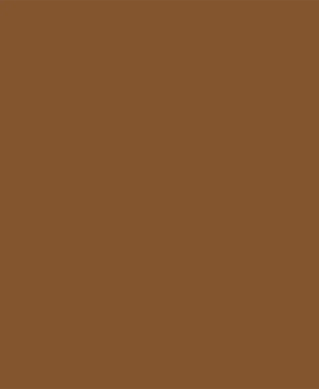 Weber Color Perfect Coffee, 5 Kg, Coulis flexible pour murs et sols