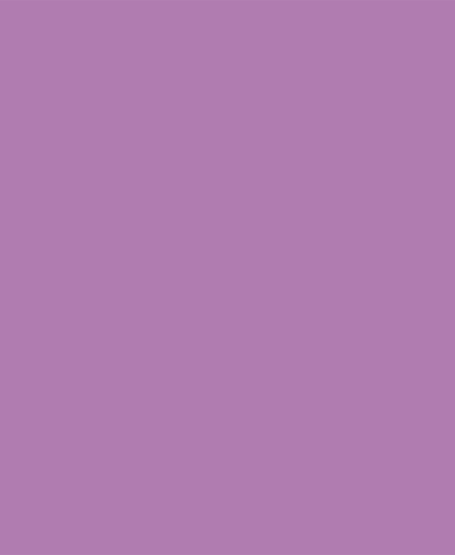 Weber Color Comfort Lilac, 5 Kg, Coulis flexible pour murs et sols